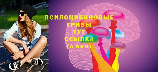 таблы Медногорск