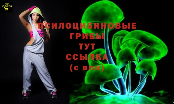 a pvp Михайловск