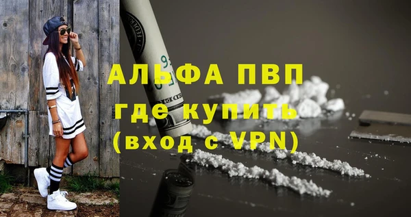 ECSTASY Михайлов
